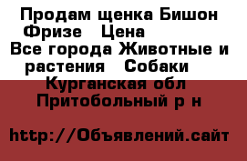 Продам щенка Бишон Фризе › Цена ­ 30 000 - Все города Животные и растения » Собаки   . Курганская обл.,Притобольный р-н